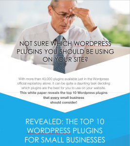 WP Plugins Whitepaper
